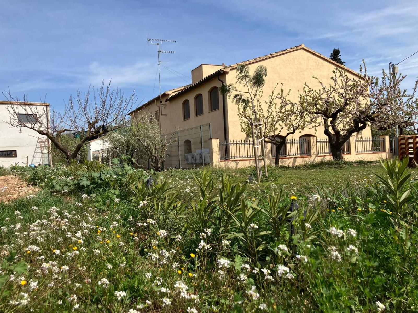 Apartment With Private Pool And Garden San Martin Sarroca Exterior photo